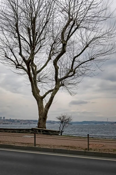 Istanbul Krůtí Pochod12021 Bosphorus Marmara Výhled Moře Zimě Zataženo Počasí — Stock fotografie