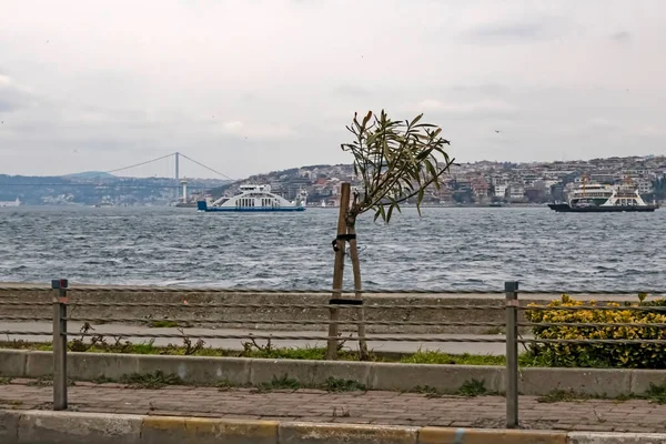 Istanbul Türkei Marsch 2021 Blick Auf Bosporus Und Marmara Winter — Stockfoto