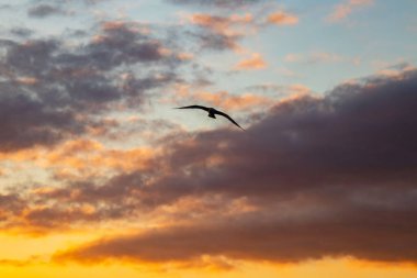 Gökyüzünde gün doğumu ve sabah vakti bulutlar..