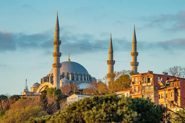 Icônes Historiques Touristiques Istanbul Mosquées Minarets — Image vectorielle