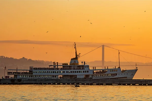 Istanbul Pavo Abril 2021 Ciudad Ensueño Entre Los Continentes Europeo — Foto de Stock