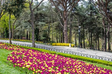 Emirgan, İstanbul, Türkiye-28 Nisan 2021. Lale festivali, Nisan ve bahar aylarında Emirgan Parkı 'ndan gelen lale festivali manzarası ile Istanbulda düzenlendi..