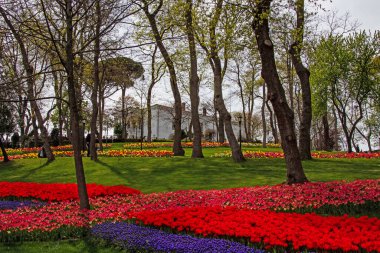 Emirgan, İstanbul, Türkiye-28 Nisan 2021. Lale festivali, Nisan ve bahar aylarında Emirgan Parkı 'ndan gelen lale festivali manzarası ile Istanbulda düzenlendi..