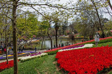 Emirgan, İstanbul, Türkiye-28 Nisan 2021. Lale festivali, Nisan ve bahar aylarında Emirgan Parkı 'ndan gelen lale festivali manzarası ile Istanbulda düzenlendi..