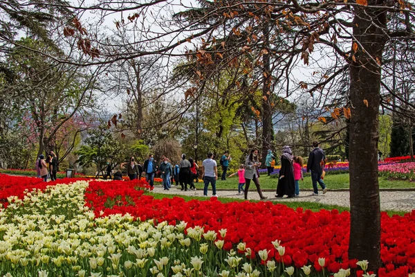 Emirgan Istanbul Türkei April 2021 Tulpenfest Istanbul Der Blick Auf — Stockfoto