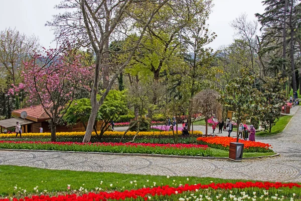 Emirgan Istanbul Turquie Avril 2021 Festival Tulipes Organisé Sarajevo Vue — Photo