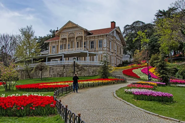 2021年4月28日 伊斯坦布尔Emirgan 在伊斯坦布尔组织的郁金香节 四月和春节期间 从Emirgan公园向游客们展示郁金香节的景色 — 图库照片