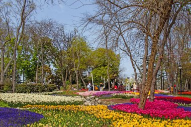 Emirgan, İstanbul, Türkiye-28 Nisan 2021. Lale festivali, Nisan ve bahar aylarında Emirgan Parkı 'ndan gelen lale festivali manzarası ile Istanbulda düzenlendi..