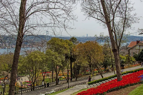 エミルガン イスタンブール トルコ 2021年4月28日 イスタンブールで開催されるチューリップ祭り4月と春のイルガン公園からのチューリップ祭りの眺め — ストック写真