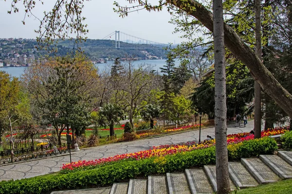 Emirgan Istanbul Türkei April 2021 Tulpenfest Istanbul Der Blick Auf — Stockfoto