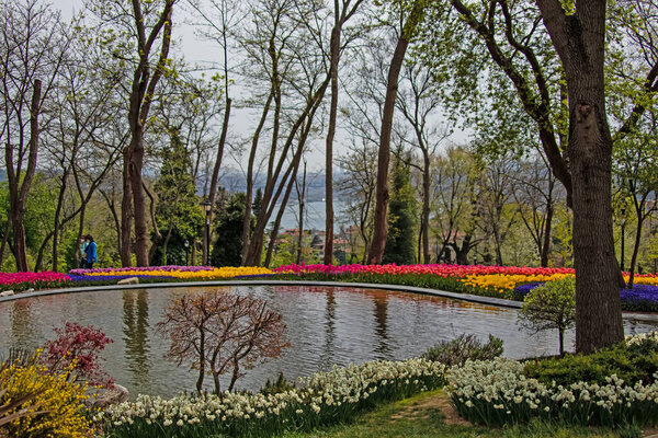 Истанбул, Турция - 28 апреля 2021 года. Фестиваль тюльпанов организован в г.Астана.Фестиваль тюльпанов с видом на парк Эмирган с посетителями в апреле и весенний сезон.