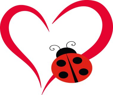 Beyaz arkaplanda uğur böceğini kapat