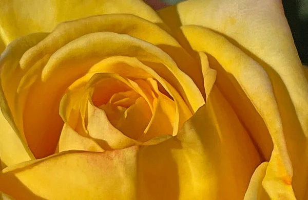 Vårens Ankomst Vårblommor Maj — Stock vektor