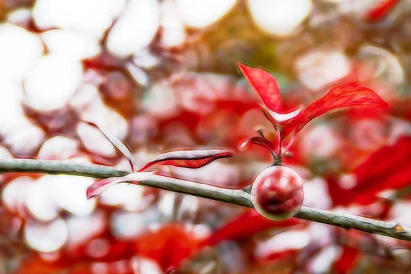 Prune Rouge Feuilles Écarlates Sur Arbre — Image vectorielle