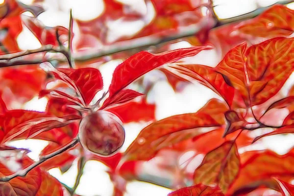 Prune Rouge Feuilles Écarlates Sur Arbre — Image vectorielle