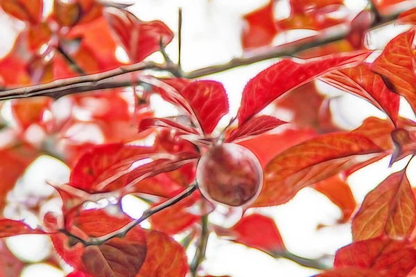 Rote Pflaume Und Scharlachrote Blätter Baum — Stockvektor