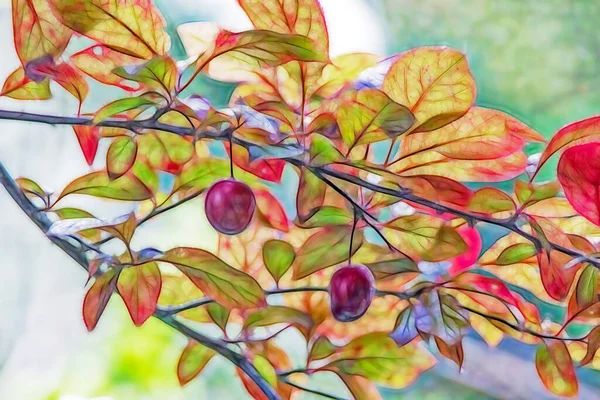 Prune Rouge Feuilles Écarlates Sur Arbre — Image vectorielle