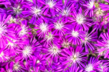 Doğadaki mor bahar çiçeklerini kapatın.