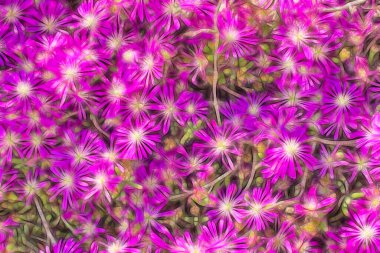 Doğadaki mor bahar çiçeklerini kapatın.