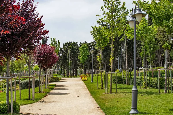 Halkali Istanbul Türkei Mai 2021 Frühlingsansicht Vom Öffentlichen Park Halkali — Stockfoto