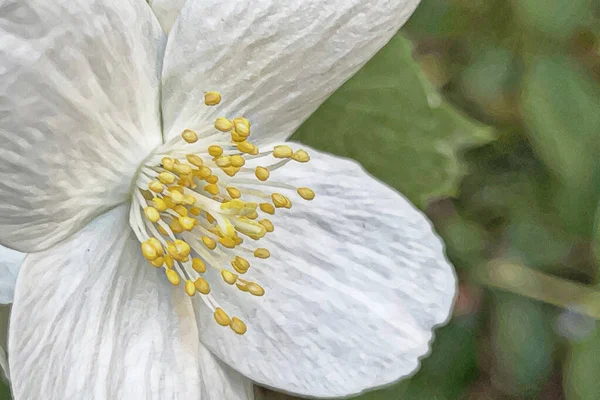 春天和春天的花朵在自然界中的到来 — 图库矢量图片