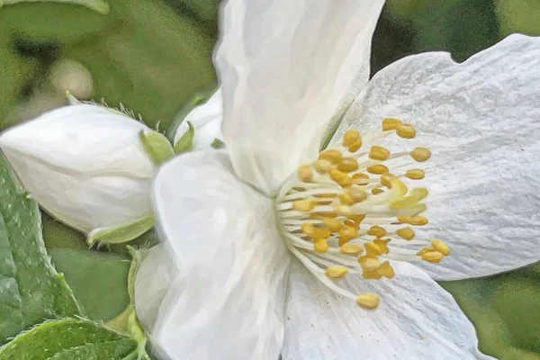 春天和春天的花朵在自然界中的到来 — 图库矢量图片