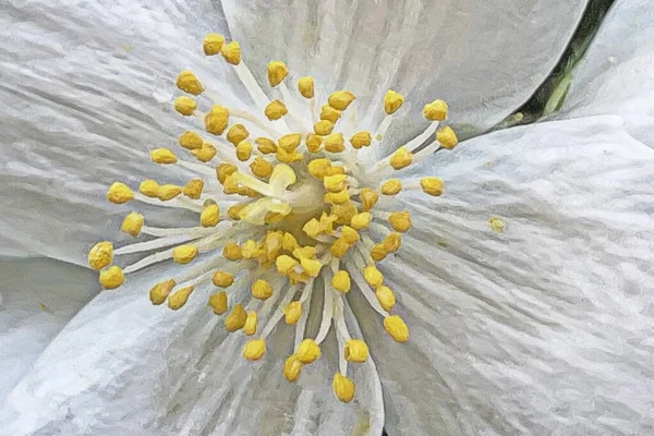 Chegada Flores Primavera Primavera Natureza —  Vetores de Stock