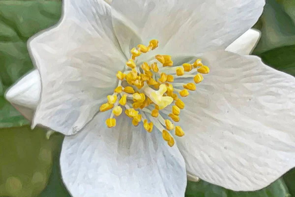 Vår Och Vårblommornas Ankomst Till Naturen — Stock vektor