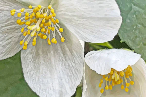 Chegada Flores Primavera Primavera Natureza — Vetor de Stock