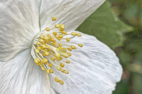 春天和春天的花朵在自然界中的到来 — 图库矢量图片