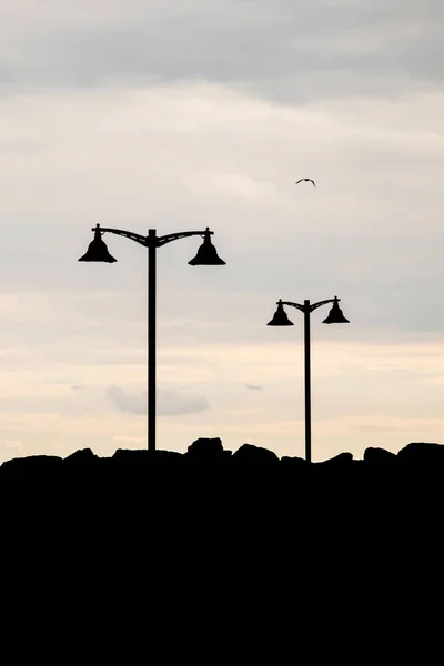 Silhouette Lampadaires Dans Nature — Photo