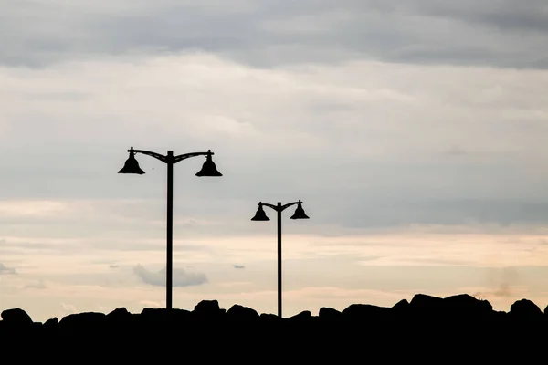 Silhouette Von Straßenlaternen Der Natur — Stockfoto