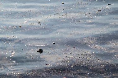 Deniz yüzeyindeki çöpler. Deniz ve çevre kirliliği. 