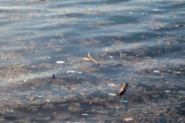 Deniz yüzeyindeki çöpler. Deniz ve çevre kirliliği. 