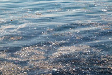 Deniz yüzeyindeki çöpler. Deniz ve çevre kirliliği. 