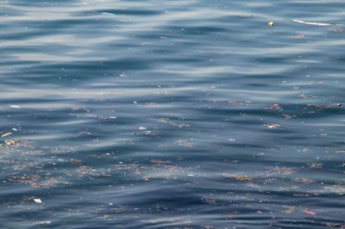 Deniz yüzeyindeki çöpler. Deniz ve çevre kirliliği. 