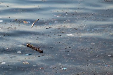 Deniz yüzeyindeki çöpler. Deniz ve çevre kirliliği. 