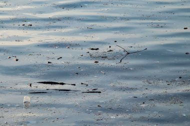 Deniz yüzeyindeki çöpler. Deniz ve çevre kirliliği. 