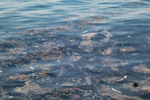 Vuilnis Het Zeeoppervlak Mariene Milieuverontreiniging — Stockfoto