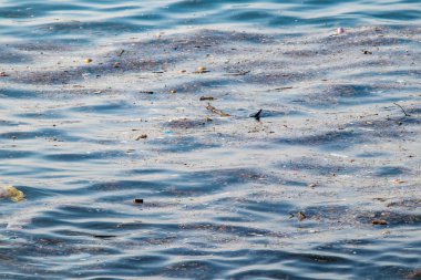 Deniz yüzeyindeki çöpler. Deniz ve çevre kirliliği. 