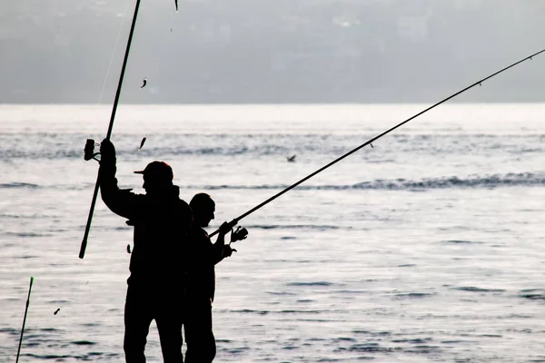 Silhouettes Pêcheurs Amateurs Avec Cannes Pêche Bord Mer Tôt Matin — Image vectorielle