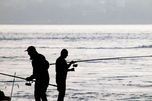 Silhuetas Pescadores Amadores Com Varas Pesca Costa Início Manhã —  Vetores de Stock