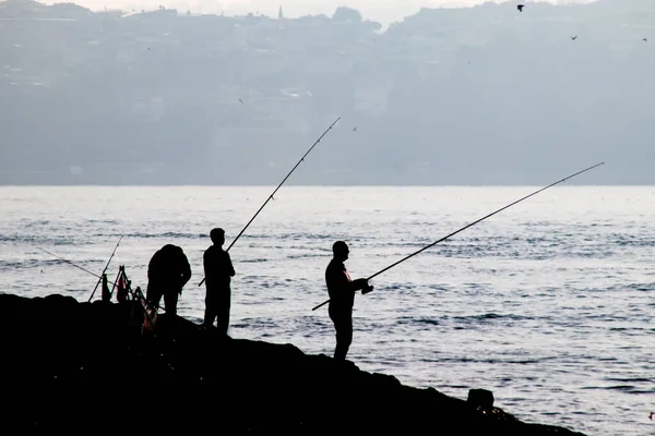 Siluetas Pescadores Aficionados Con Cañas Pescar Orilla Del Mar Temprano — Vector de stock