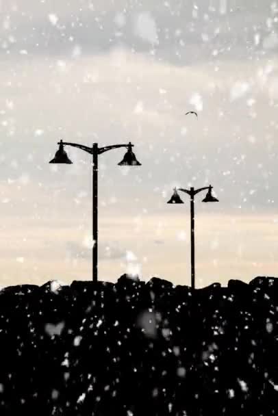 Silhouette Nature Hiver — Video