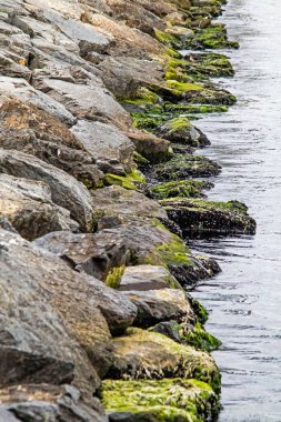 seaside cliffs and calm sea