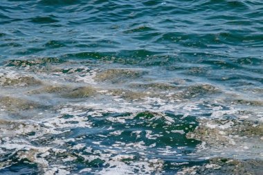 Deniz ve doğadaki çevre kirliliği