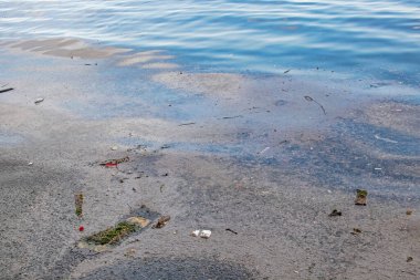 Deniz ve doğadaki çevre kirliliği