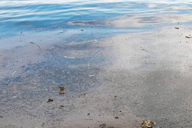 Deniz ve doğadaki çevre kirliliği