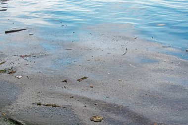 Deniz ve doğadaki çevre kirliliği