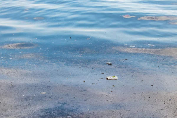 Забруднення Навколишнього Середовища Морі Природі — стокове фото